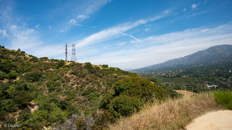 forest hill fire road trail photo by De Ivett