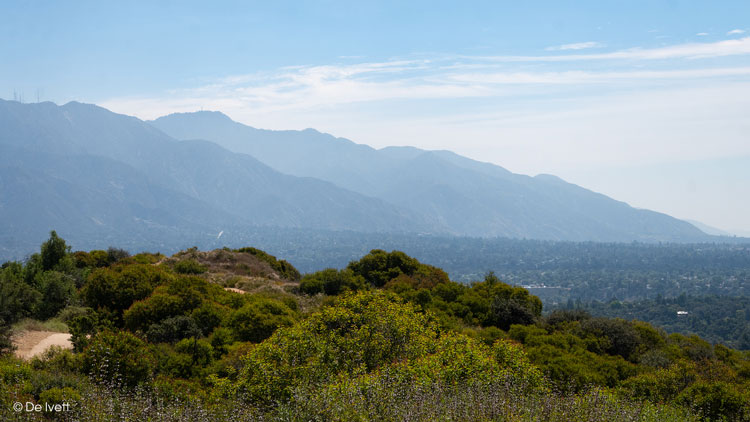 forest hill fire road trail photo by De Ivett