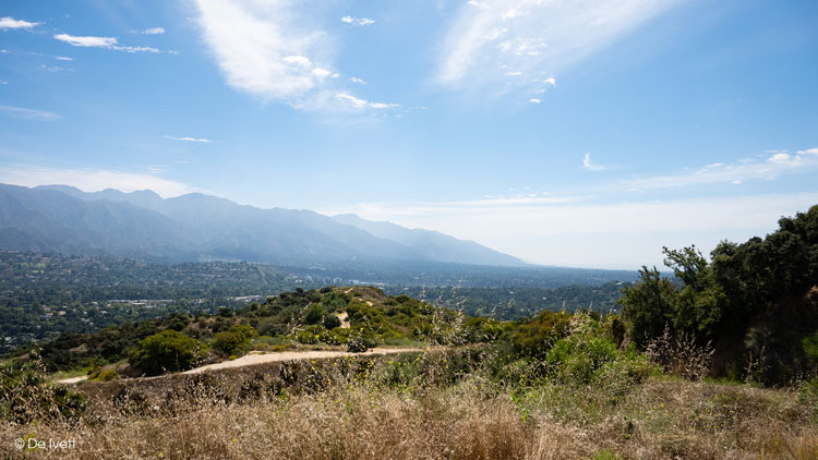 forest hill fire road trail photo by De Ivett