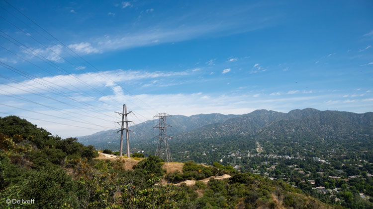 forest hill fire road trail photo by De Ivett