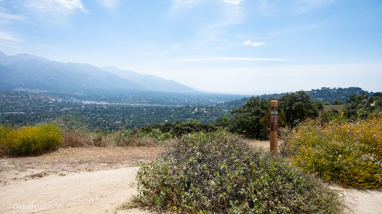 forest hill fire road trail photo by De Ivett