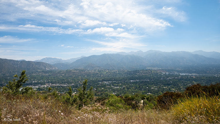 forest hill fire road trail photo by De Ivett