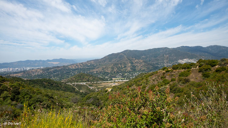 forest hill fire road trail photo by De Ivett