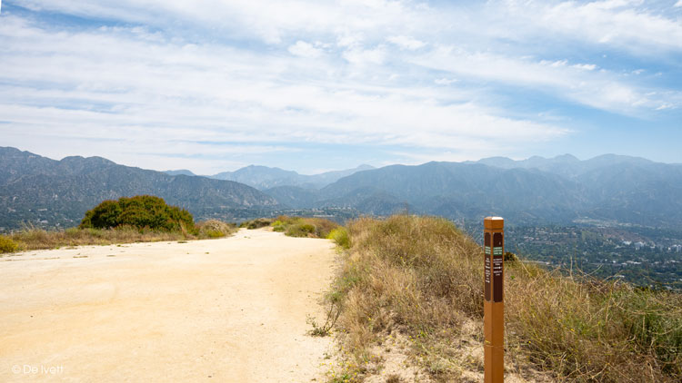 forest hill fire road trail photo by De Ivett